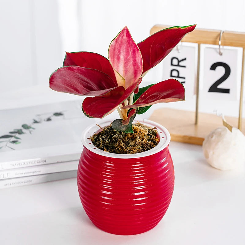 pots fleurs modernes rayures horizontales gris orange rouge blanc