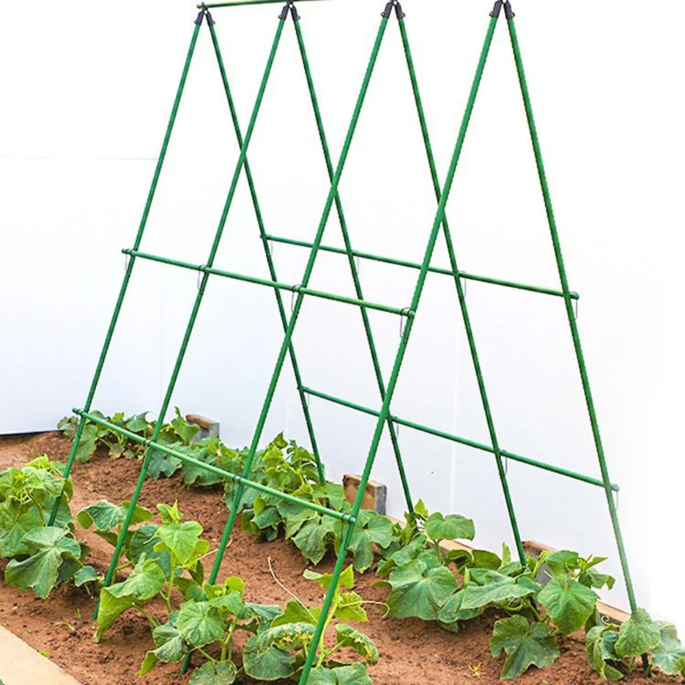 support plante grimpante métal vert structure triangulaire jardinage utilitaire fixations liens noirs croissance concombre