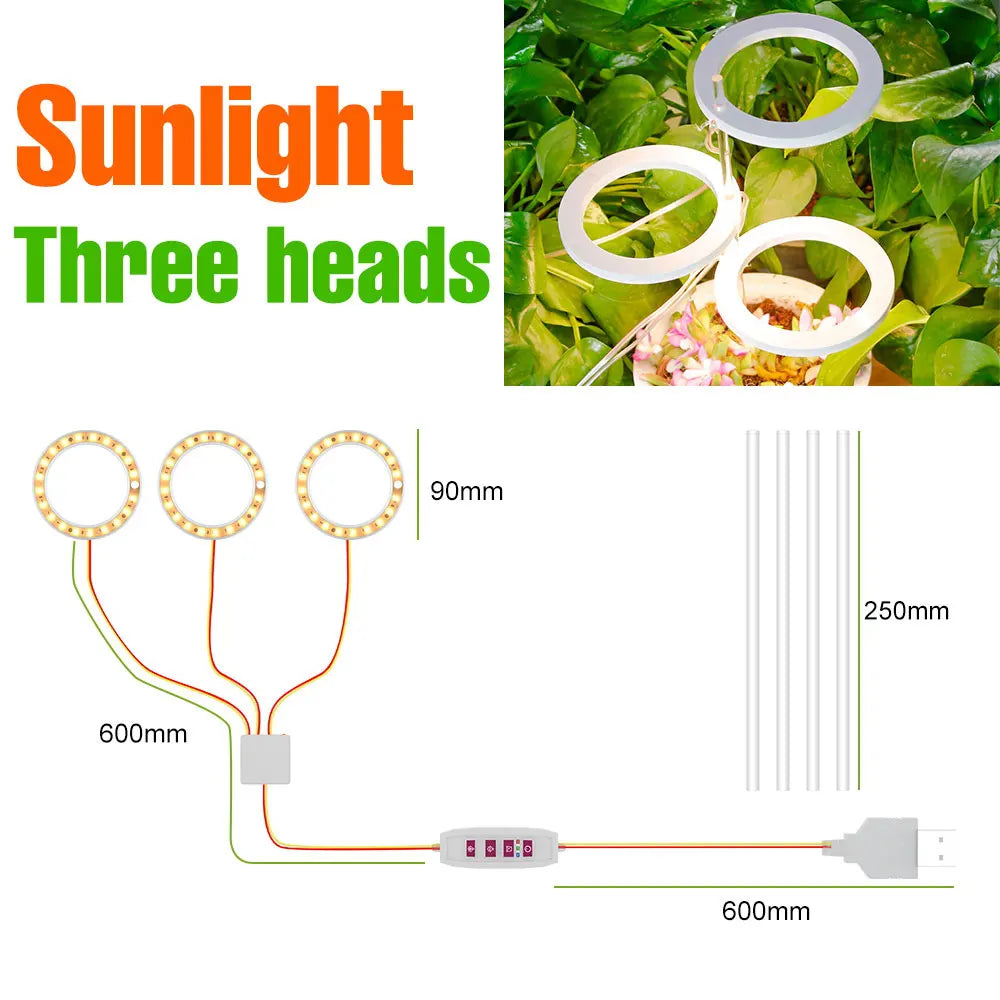 lampe led croissance plante circulaire diodes blanc moderne anneau flexible réglable temps