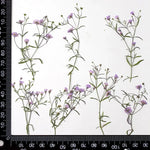 fleurs séchées multicolores petite taille décoration maison anniversaire baby shower naturelle rustique