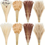 bouquet fleurs séchées pampa plumes fines beige blanc rose pâle naturel rustique clips decoration