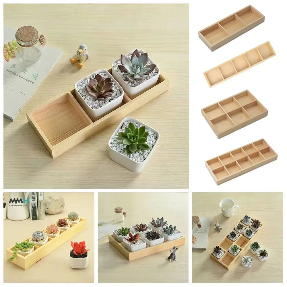 supports plantes succulentes modernes texture bois blanc minimalistes