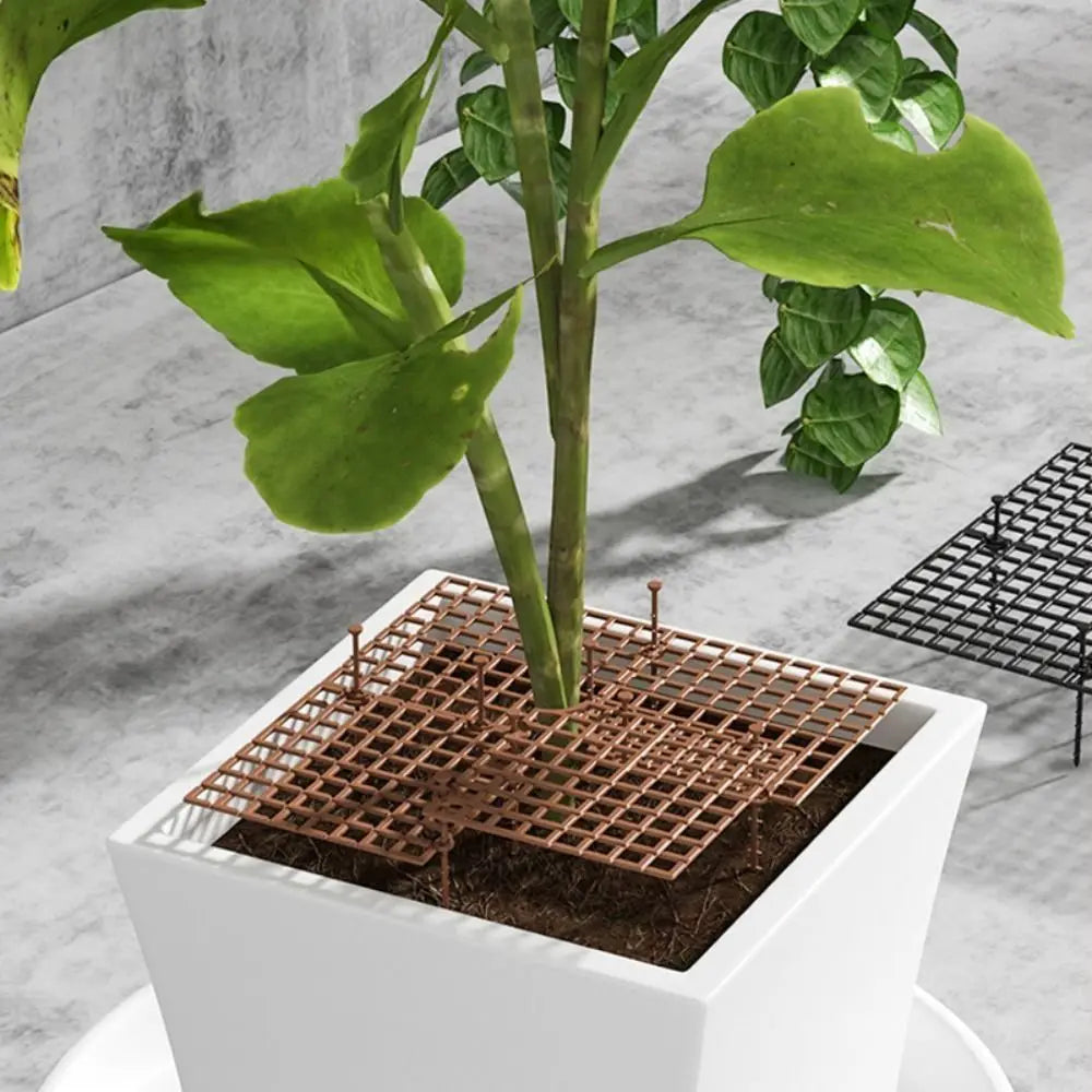 grille support plantes moderne noir marron clair 19cm 30cm 52cm rayonnant