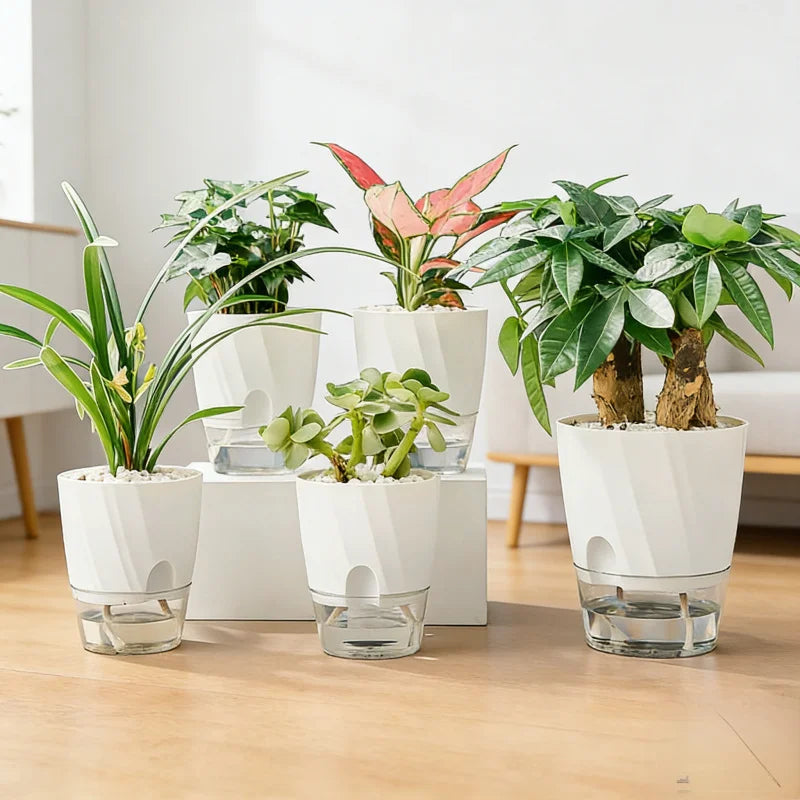 pot plante plastique blanc moderne pot plante intérieure hydroponique transparent épais capacité 1.6l grille