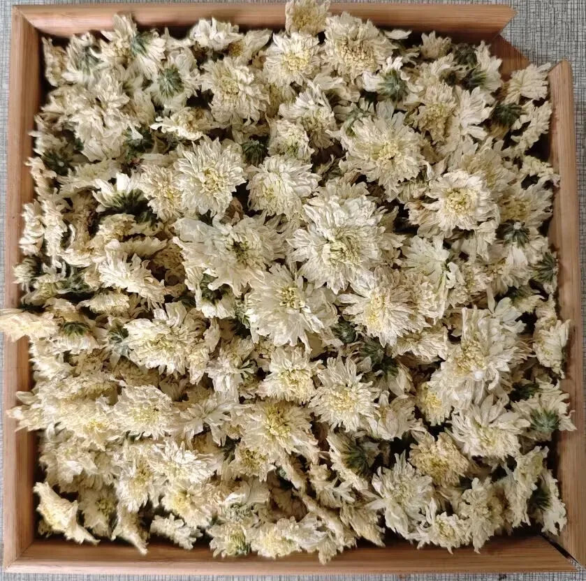 fleurs séchées blanches chrysanthèmes deco maison anniversaire baby shower intérieur naturel rustique