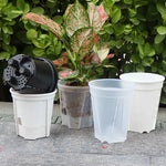 pots plantes transparents auto arrosants modernes plastique blanc rond lisses