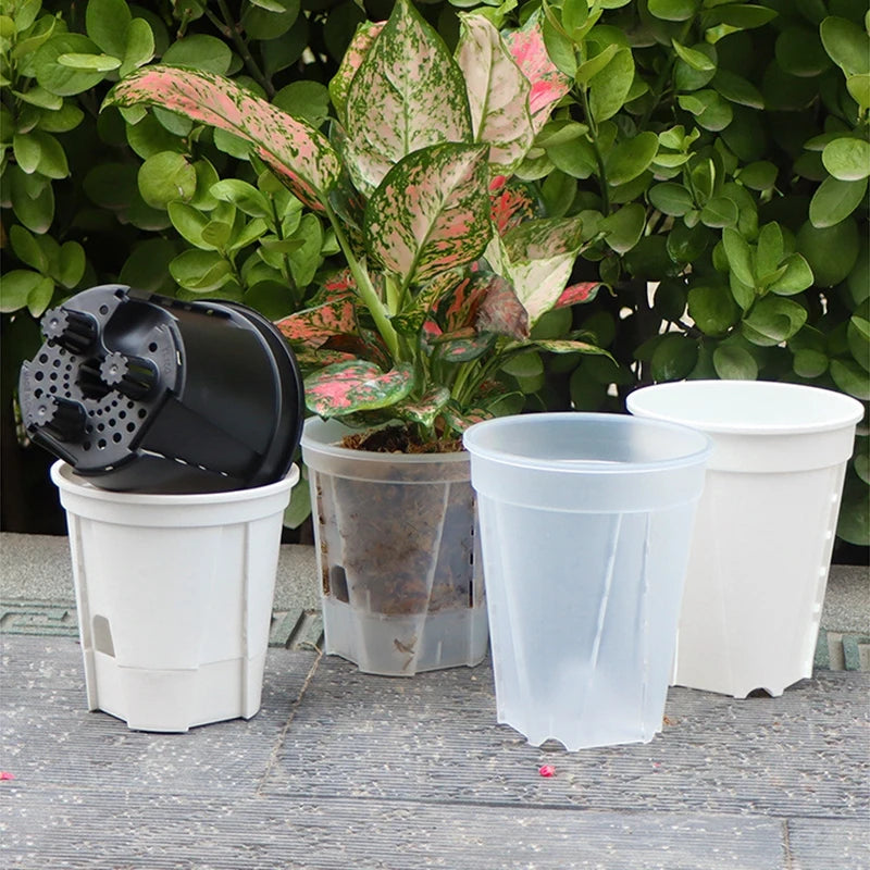 pots plantes transparents auto arrosants modernes plastique blanc rond lisses
