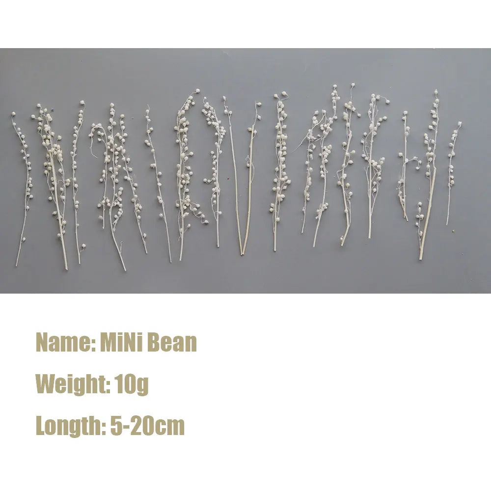 décoration maison mini beans blanc beige vert bleu rose naturelle bricolage anniversaire baby shower