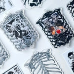 cadre photo squelette humain noir transparent osseux anatomique irregulier plastique erotique gothique erotique erotique