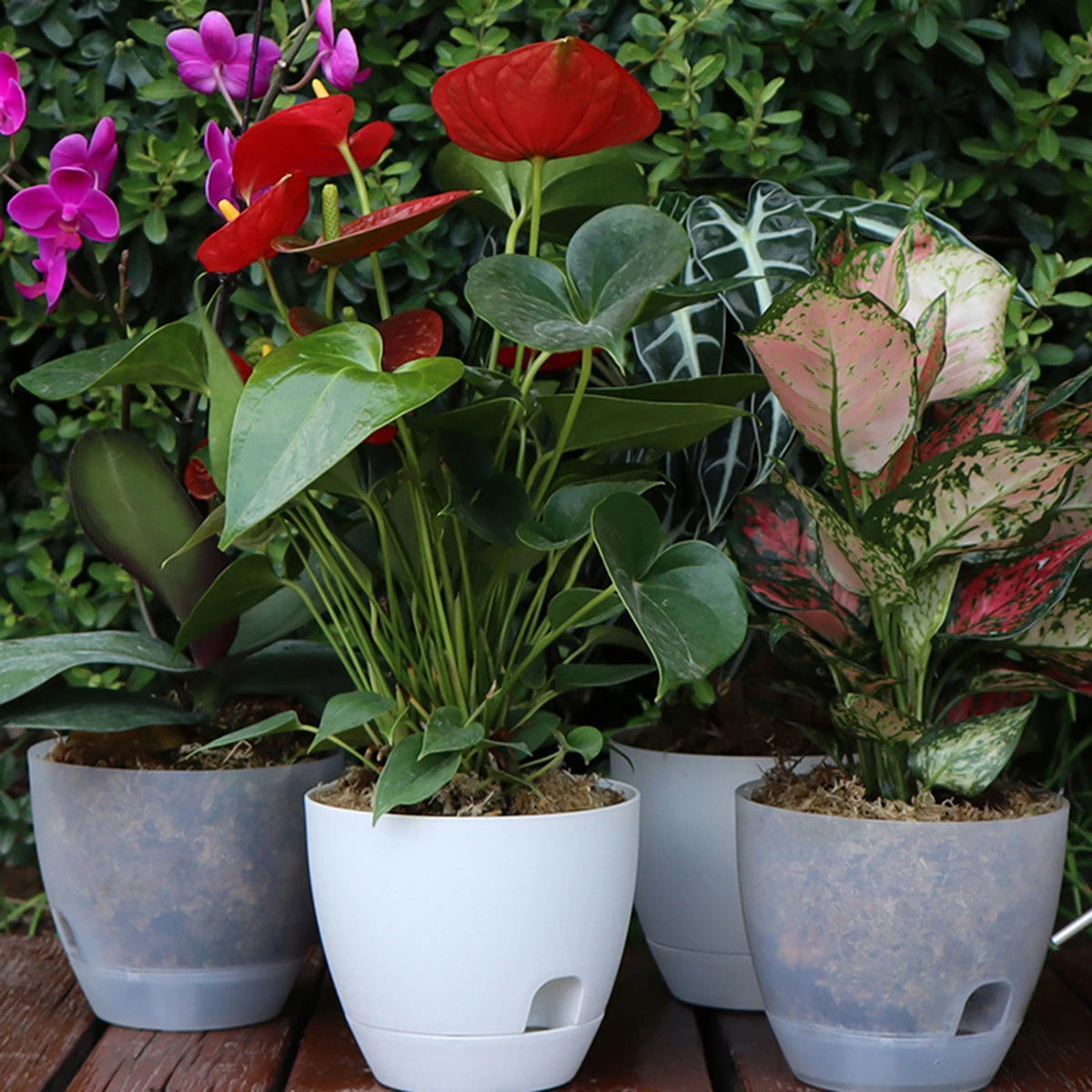 Pots fleurs blancs modernes plastique opaques plantes vertes 13cm capacité grande