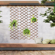 treillis extensible plantes grimpantes bois rustique jardin fleurs blanches bleues