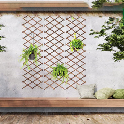 Treillis extensible blanc pour plantes grimpantes en bois