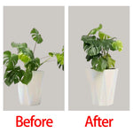 clips plante réutilisables différents diamètres noir vert rouge moderne minimaliste