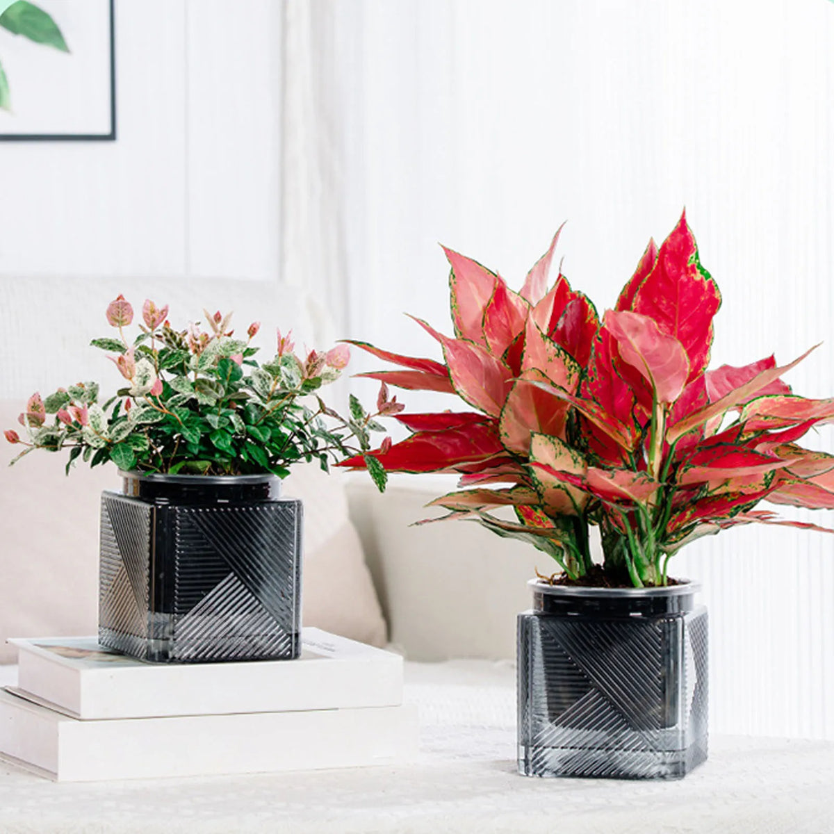 cache pot moderne plastique noir blanc rayures diagonales texture mat plante verte intérieur decoration