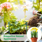 support plante plastique vert foncé moderne 12 pièces tiges fixations jardin fleurs