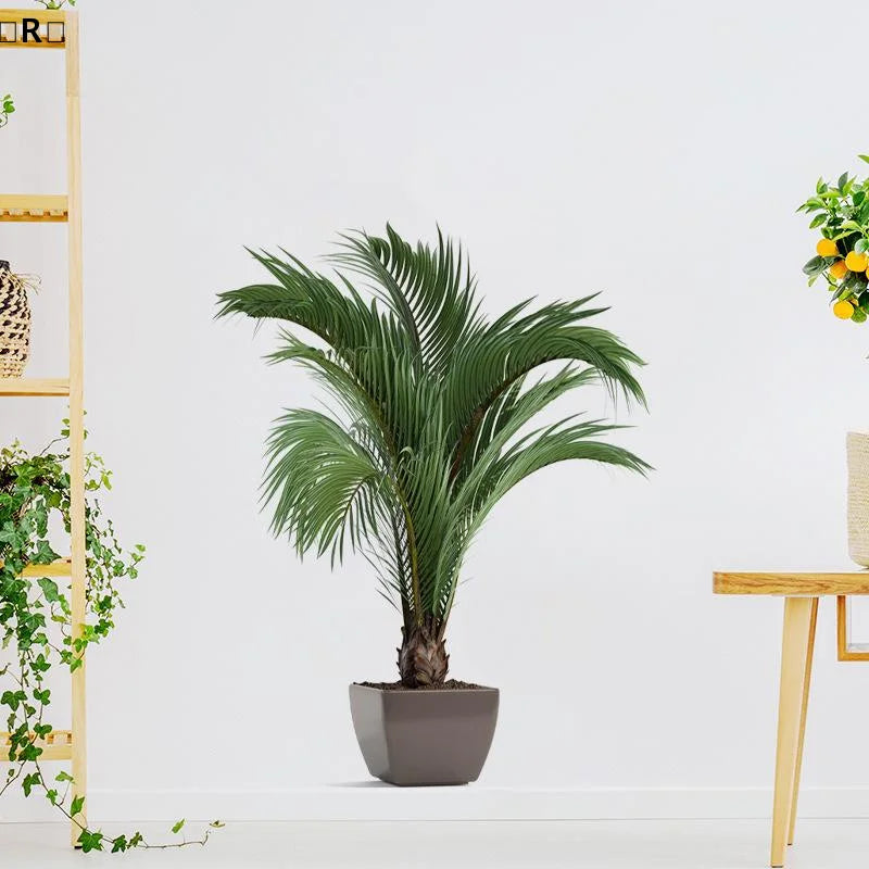 plantes artificielles vertes feuilles fines moderne décoration murale sans cadre chambre salon