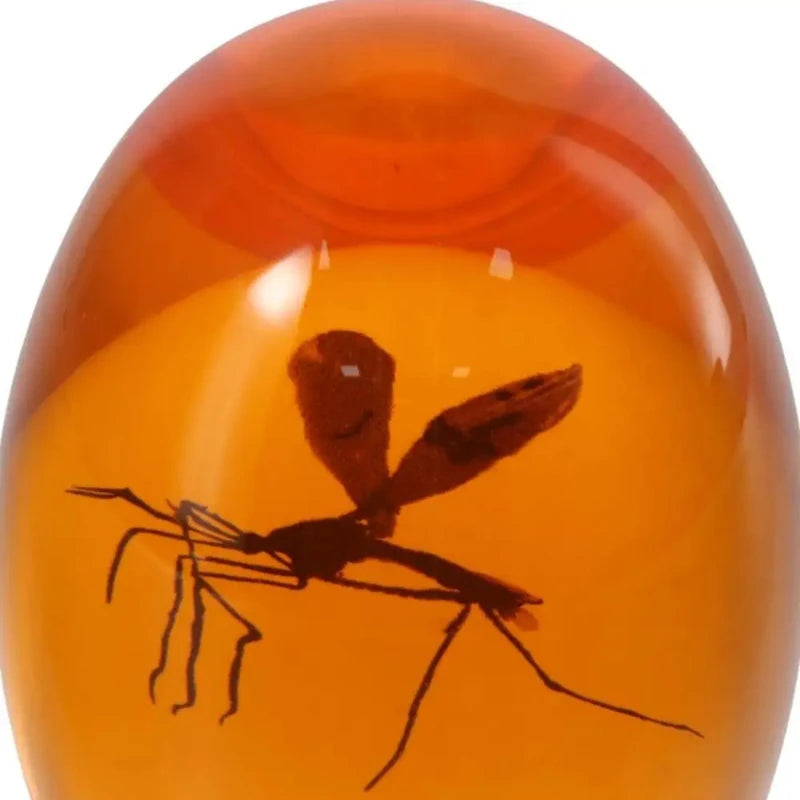 presse papiers boule verre orange translucide moustique imprimé artisanal unique maison