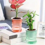 Pot plante moderne rayures verticales plante verte gris bleu rose