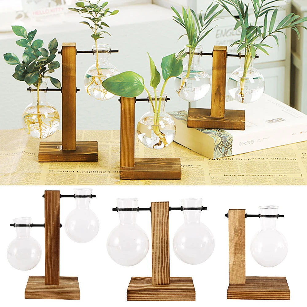 vase hydroponique vintage verre transparent plante table décoration bonsaï rond simple