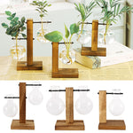 vase hydroponique vintage verre transparent plante table décoration bonsaï rond simple