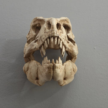 décoration murale crâne dinosaure résine beige clair texture naturelle réaliste