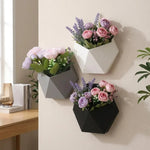 jardinière murale suspendue hexagonale geometrique moderne gris noir blanc vis fixationsintérieur salon balcon entrée