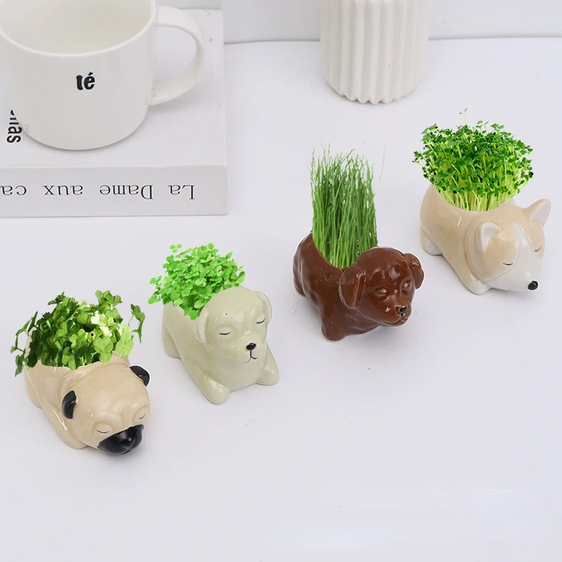 vase porcelaine chien miniature décoration plantes vertes moderne animalier texture céramique