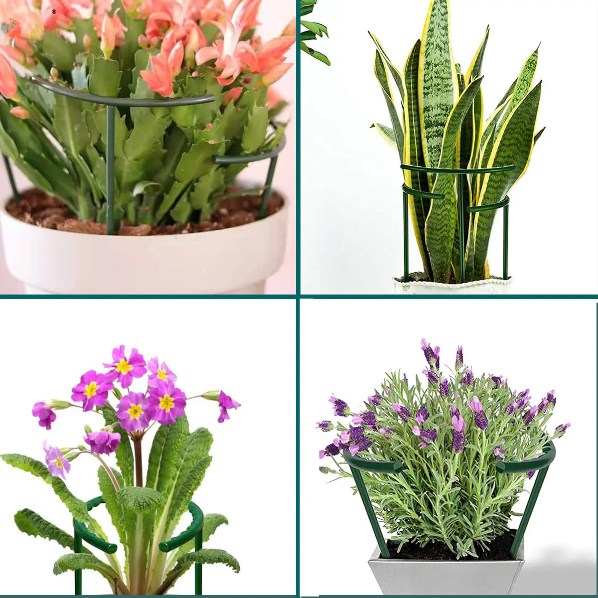 Support plante noir plastique moderne 16cm 27cm eyeletsintérieur fleur fixe