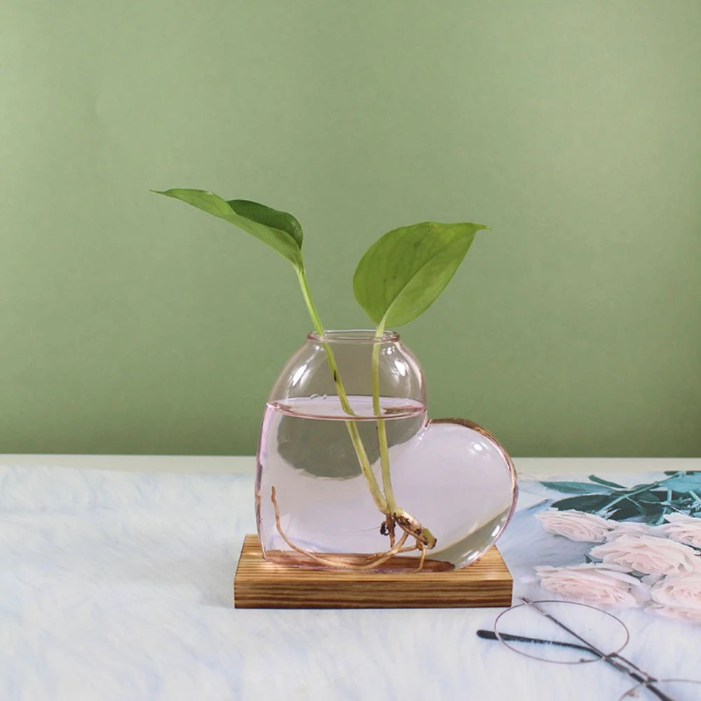 vase verre forme cœur transparent moderne plante verte support bois