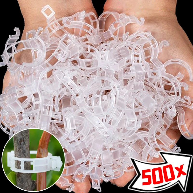 clips végétation transparent clips plastique utilitaire jardin 100pcs 200pcs 300pcs 500pcs 50pcs fixations