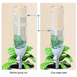 distributeur eau plante arrosage goutte goutte bouteille adhésif moderne kit pot fleur vert bleu