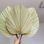 Feuilles de palmier séchées brunes artisanales