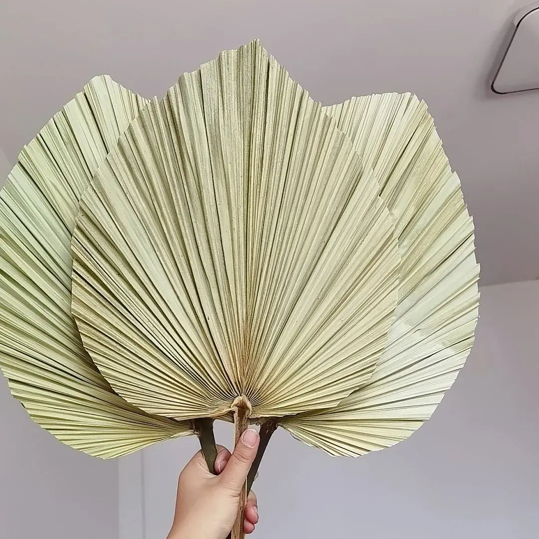 Feuilles de palmier séchées brunes artisanales