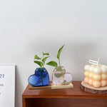 vase verre forme cœur transparent moderne plante verte support bois