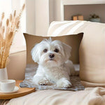 housse coussin imprimé motifs géométriques moderne polyester beige machine 40x40cm