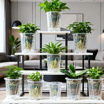 pot plante transparent perforations drainage amélioré moderne jardinerie orchidées plastique pp
