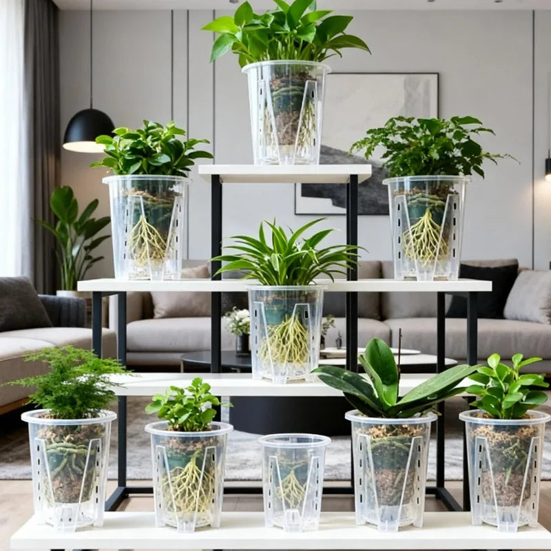 pot plante transparent perforations drainage amélioré moderne jardinerie orchidées plastique pp