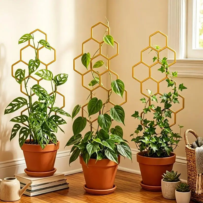 grille support plantes noire dorée hexagonale moderne extérieure intérieure adhésive fleuri geometrique