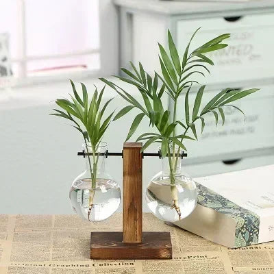 vases verre transparents plantes vertes support bois industriel décoration minimaliste