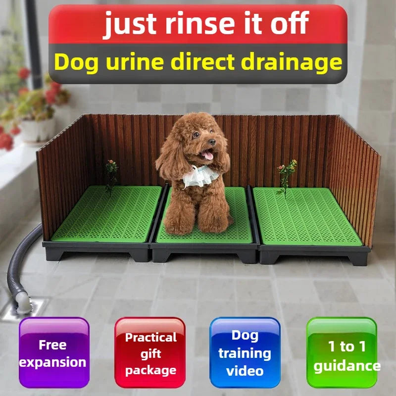 bac urine chien vert noir drainage moderne pompe vidange