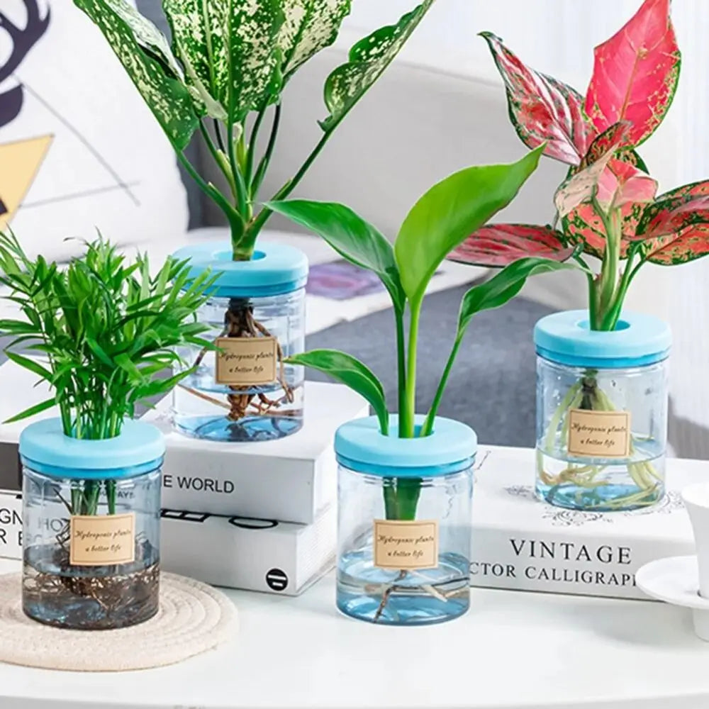 Pot plante hydroponique transparent moderne minimaliste 8cm 10cm 12cm 15cm 20cm