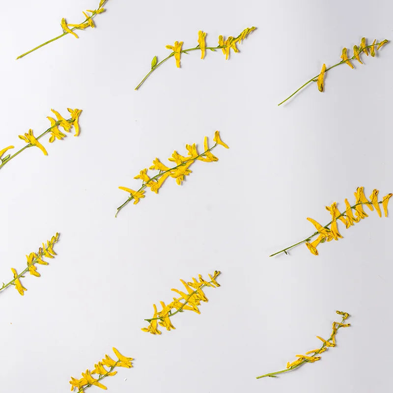 fleurs séchées jaune vif petites fleurs simples décoration maison anniversaire baby shower naturelle rustique