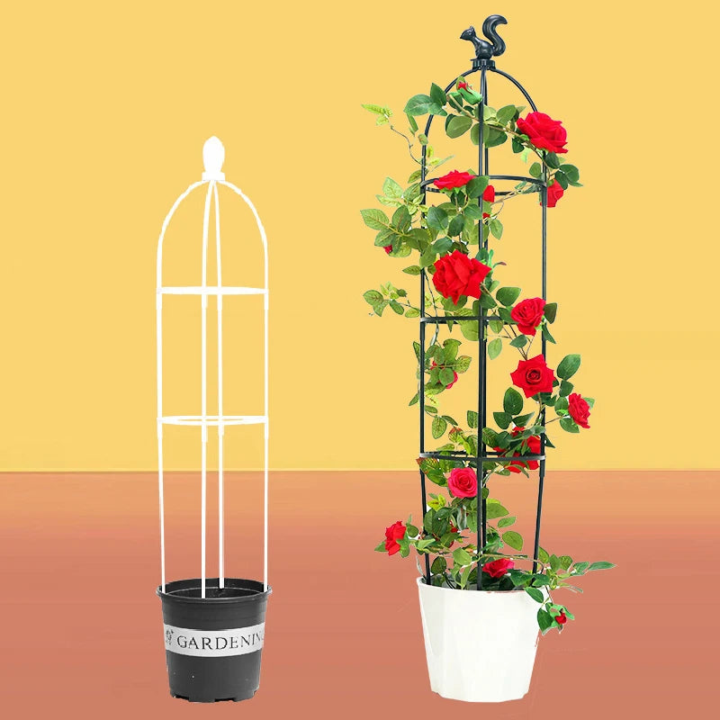 support plante grimpante structure circulaire nylon blanc noir moderne minimaliste