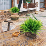 plantes artificielles fougères vertes decoration maison jardin exterieur rustique pots differentes dimensions decoration festive