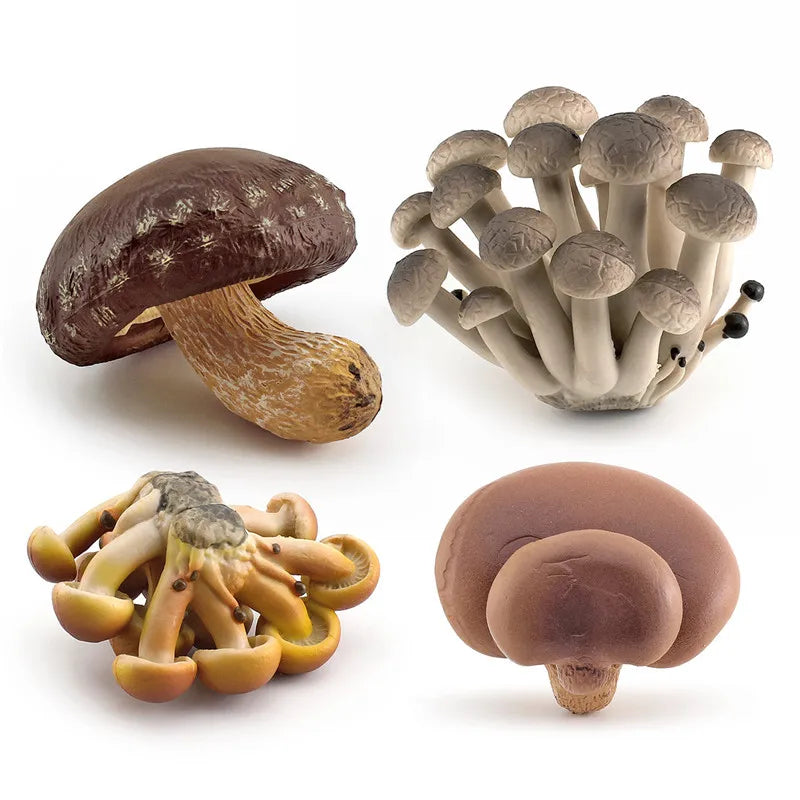 miniatures champignons réalistes photographie accessoires gris rouge blanc marron opaques pastoralesextérieur