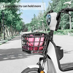 panier avant vélo électrique noir structure grille couvercle poignée fixations métalliques utilitaire transport