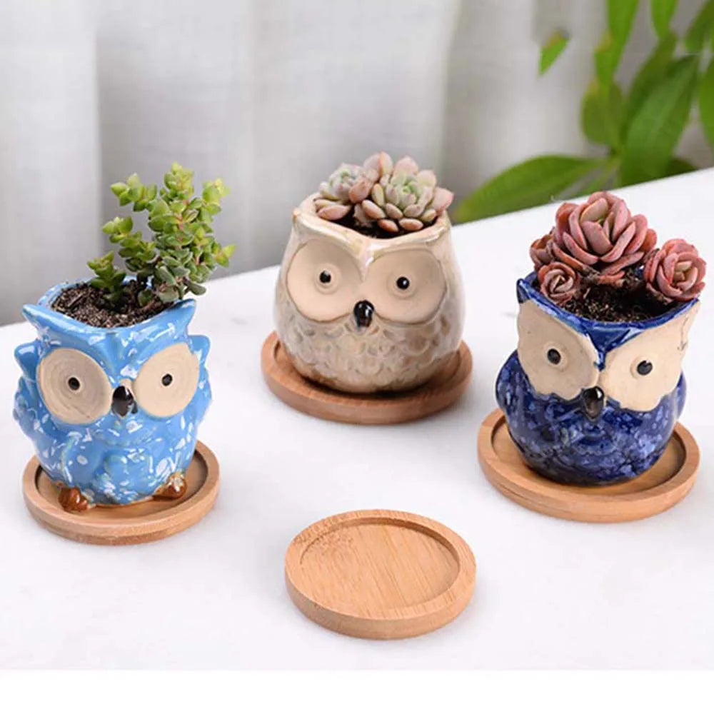 cache pots forme animaux couleur bleu vert beige créatif animalier plante succulente