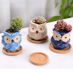 cache pots forme animaux couleur bleu vert beige créatif animalier plante succulente