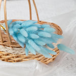 bouquet fleurs séchées herbe rabbit tail décoration maison mariage anniversaire boho naturelle rustique