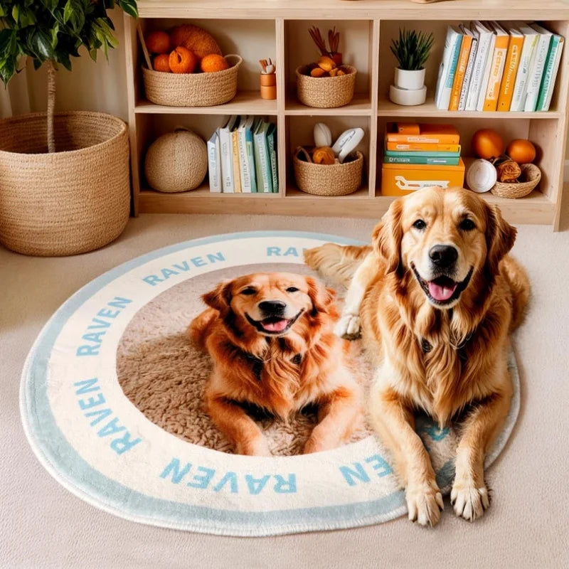 tapis rond personnalisé nom raven polyester doux moderne beige bleu clair utilisation maison prièreextérieur